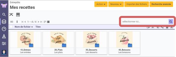 emplacement
de la barre de recherche