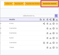 mise en évidende du bouton de recherche avancée