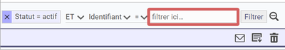 mise en
évidence de l'emplacement du champs de filtre format texte