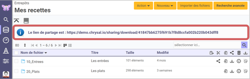 mise en évidence du lien de partage sur la page